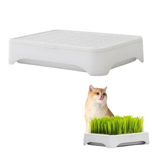 Cat Grass Growing Kit Hydroponic Pet Grass Planter Box Plastic Planting Box With Soil-free Wheatgrass Seeds For Indoor Cats
