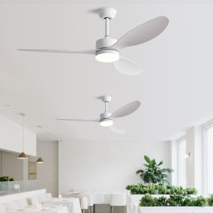 PUYU | New Large Wind Power Quiet Home Energy-saving Ceiling Fan Light