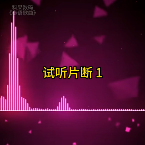 NGHG MALL--泰语歌曲 流行泰语神曲  精选泰式音乐流行MP3音乐U盘 900mp3  classic Thai songs popular Thai divine comedy selected Thai music popular MP3 music USB flash drive 900mp3