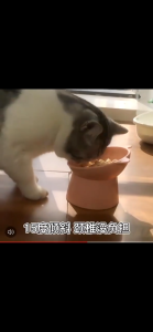 ชามกันมด แมว ชามอาหารแมว ชามอาหารสัตว์เลี้ยง ทรงเฉียง ชามอาหารสุนัข ที่วางอาหารสัตว์เลี้ยง เครื่องให้อาหารสัตว์เลี้ยง