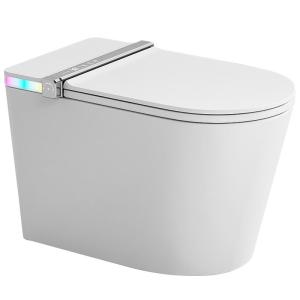 SSWW | Smart Toilet Home Use Automatic Flush Integrated