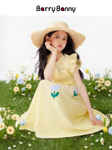 Barry Banny | French Style Floral Embroidery Sweet Princess Dress