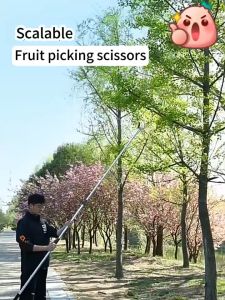 3in1 Fruit Picker Saw Pemetik Fruit Scissors Telescopic Pruning Picker Saw Pemetik Buah Extended Picking Tool