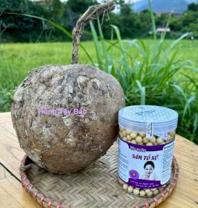 Tinh Bột Củ Sâm Tố Nữ  Viên Hoàn Từ Củ Sâm Tố Nữ