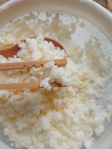 Nấm làm sữa chua Kefir Milkcon giống làm sữa chua tự nhiên