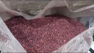 Angkak Beras Merah 100 Gram & Kesehatan Alami