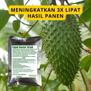 Pupuk Booster Sirsak: Cara Meningkatkan Pertumbuhan dan Produksi Buah