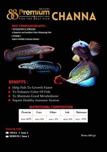 Pellet Premium88 Yellow Red Blue Channa Pakan Ikan Kemasan 100gram