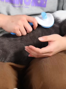 Pet Comb Cat Dog Hair Comb brush Pet Grooming Shedding comb Brush for Pet Self Cleaning Grooming Tool