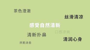 2.5gx 50sachets Mint Tea Peppermint Leaves Tea 薄荷茶 125g sooth stomach pain/ cramps/ aches/ reduce heartburn & aids digestion