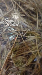Akar Alang-Alang Kering 250gr Asli Hutan - Lebih Berkhasiat