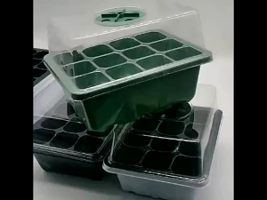 12 Hole Seedling Box Seed Starter Kit Humidity Adjustable with Dome and Green Base for Seeds Growing