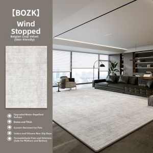 BOZK | Modern Minimalist No-Wash Washable Home Carpet
