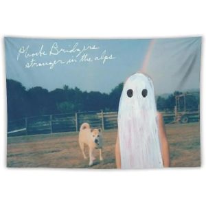 VIKAMA Phoebe Bridgers Album Cover Wall Tapestry Polyester Wall Hanging for Bedroom Dorm Music Room Indie Home Decor