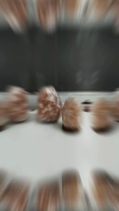 Set Kombo 288 | Lampu Garam / Salt Himalayan 10kg & 2-3kg + Lampu Boleh Dicas semula + Botol Kekayaan & Cinta + 1000g Batu Garam + 300g Garam Mandian Hiasan Fengshui