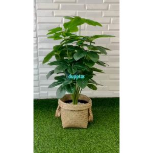 Pohon Plastik Tanaman Hias Anubias Hijau X18 Semilatex Cover Pot Anyaman Purun Handle Dekorasi Ruang Tamu