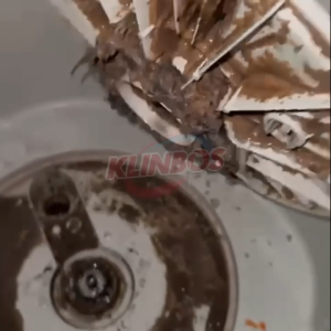KLINBOS Serbuk Pembersih Mesin Cuci Antibakteri - Wasing Machine Cleaner