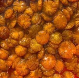 Tắc Xí Muội Hoa Đường Phèn - Hủ 1000g - Đặc Sản Bến Tre