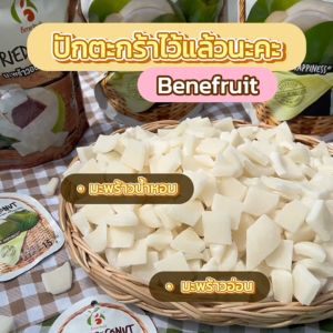 Benefruit มะพร้าวอบแห้ง🥥 เนื้อแน่นกรึบ หวานน้อย ผลไม้อบแห้งเกรดส่งออก สูตรน้ำตาลต่ำ ไม่มีแป้ง ไม่มีคอเลสเตอรอล (Dried Coconut Low Sugar)