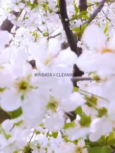 【Local Ready Stock】KINBATA AIR FRESHENER SPRAY  Deodorizing  Remove Bacteria & Odor  Car  Home