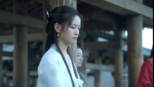 USB Cantonese China Drama 雪中悍刀行 + 警察荣耀 粤语中字 Chinese subtitle 粤语大陆剧
