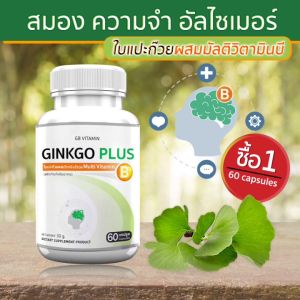 GB Ginkgo Plus-B อาหารเสริม ใบแปะก๊วยผสมวิตามินบีรวม สารสกัดใบแปะก๊วย (1 กระปุก 60 แคปซูล)