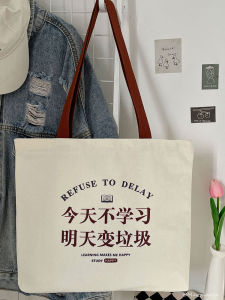 Trendy Canvas Bag Women 2023 New Designer Artistic Large Capacity Lazy Style Lunch to Work Fashion Trendy Bag Soft Handle