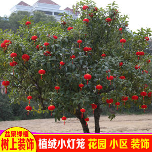 Mini Outdoor Waterproof Sunscreen Tree Hanging Lanterns Festive Decorations Small Paper Lanterns for New Year Celebration