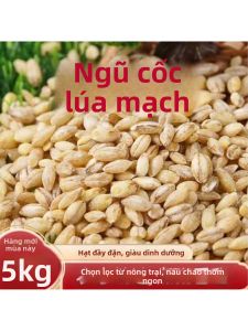 Đại Mạch Bóc Sẵn Dinh Dưỡng 5 cân