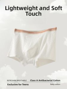 MiiOW | Childrens Breathable Cotton Underwear Boys Flat Angle Pants High Elasticity Comfortable Inner Cotton Crotch A-Class Cotton