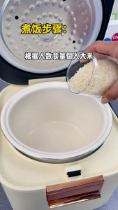 SG【ReadyStock】Zemkon Electric Rice Cooker DualFunction SteamBasketIn PorridgeOvernight CompactCounter RVCooking