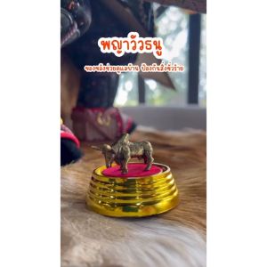 พญาโคมหามงคลทองเหลืองแท้ ราคาส่ง