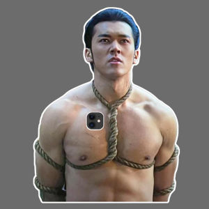 Large Size Yang Yang Godly PVC Board Phone Case Props Funny Props Photo Props Stand Suitable for iPhone 14 pro Max Apple Oppo