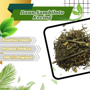 Jamu Herbal Tradisional Daun Sambiroto kering membantu meredakan diabetes gatal gatal dan flu