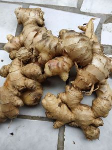 jahe gajah super 1 kg 30000