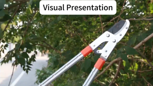 68–100CM Retractable  Pruning Shears | Powerful Cordless Tree Trimmer for Fruit Trees & Branch Cutting