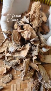 Akar Nampu Kering 1 kg Organik Asli Hutan - Lebih Berkhasiat!!