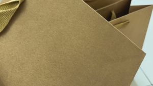 (สินค้าขายดี อันดับ1)ถุงกระดาษ ถุงสีนำ้ตาล ถุงกระดาษคราฟท์ ถุงกระดาษสีพื้น หูเชือกถัก ใส่ของชำร่วย ใส่ของขวัญ