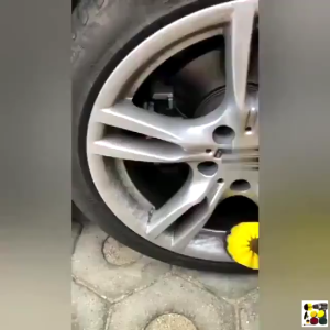 Mata Bor Sikat Pembersih Komplit 6 Pcs Kepala Sikat Bor Listrik Drill Brush Cleaning Head