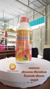 บูสเตอร์ (น้ำตาลทางด่วน+อะมิโน+อโทนิก) ฮอร์โมนพืช เร่งราก เร่งโต บำรุงต้น ใบเขีบวหนา พืชเขียวเร็ว เขียวนาน