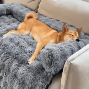 Lovinland Luxurious Dog Couch Bed Washable Calming Dog Couch Cover Removable Couch Protector for Dogs Cats Waterproof Sofa Bed Pet Bed Mats for Couch Pet Couch Covers for Sofa