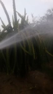 Đầu Vòi tưới Béc tưới cây gắn ống 21 đến 42 nhụy đồng điều chỉnh xa gần Tưới cây xịt chuồng trại vệ sinh vật nuôi