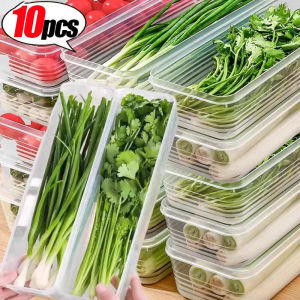 10/5Pcs Refrigerator Storage Box / Fridge Organizer Box with Lid / Kitchen Fruits Vegetable Fresh Box / for Green Onion Celery Noodles Spaghetti Lettuce / Refrigerator Sealing Box Container