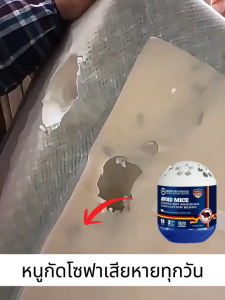 🐭ซื้อ 1 แถม 1🏠เจลไล่หนู แค่วาง หนูก็หายไป ไล่หนู 150g ยาไล่หนู ใช้ง่ายไม่ฆ่าหนู ไม่มีสารเคมี ปลอดภัย ยาไล่หนูรถยนต์