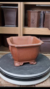 chậu cây cảnh bonsai CPD942 chậu vuông khuyết mặt bợm chậu gốm tàu cao cấp chậu tàu da báo kích thước miệng vuông 21cm cao 14cm chậu bonsai để bàn.