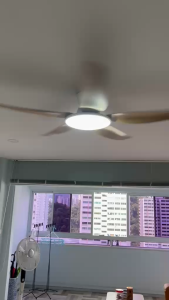 (New Launch) Fanco Rito Plus Smart 46" / 56" DC 5 Blades Dimmable LED Ceiling Fan