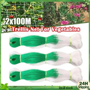 BUY 1 TAKE 1 2Mx100M Trellis Net Plant Climbing Net White Nylon Support Mesh For Vegetables Cucumber Flower Garden Climbing Vine Net Outdoor Plant Climbing Net Trellis Durable Nylon Plant Net Gardening for Ampalaya Sitaw Fruit Vegetables Support Flower