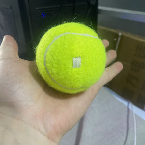 Werkon Tennis Ball High Elasticity Durable Training Ball for Beginners Intermediate Competition Special Use Wear Resistant Explosive Proof