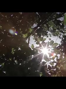 Full Coverage Windshields Sunshades Sun Protector Visors Car Accessories for Hyundai Elantra Avante i30 Sedan CN7 2021 2022 2023