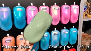 AIKKA CS10 Forst Green | Old School Solid Series | Automotive Color 2K Car Paint Aerosol Spray Cat Bancuh Kereta DIY 车漆